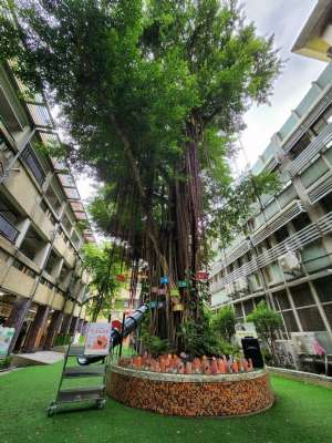 1111012建安大家長迷宮開講1